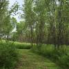 The trail is flat, but good for distance and taking younger riders to get them off the pavement