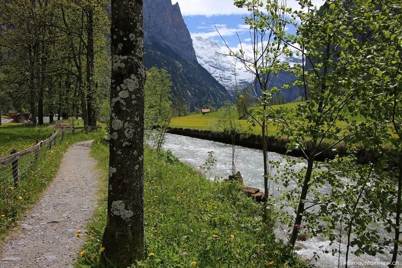 Early summer in Lauterbrunnen valley.