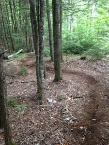 Two turns then down through a creek.