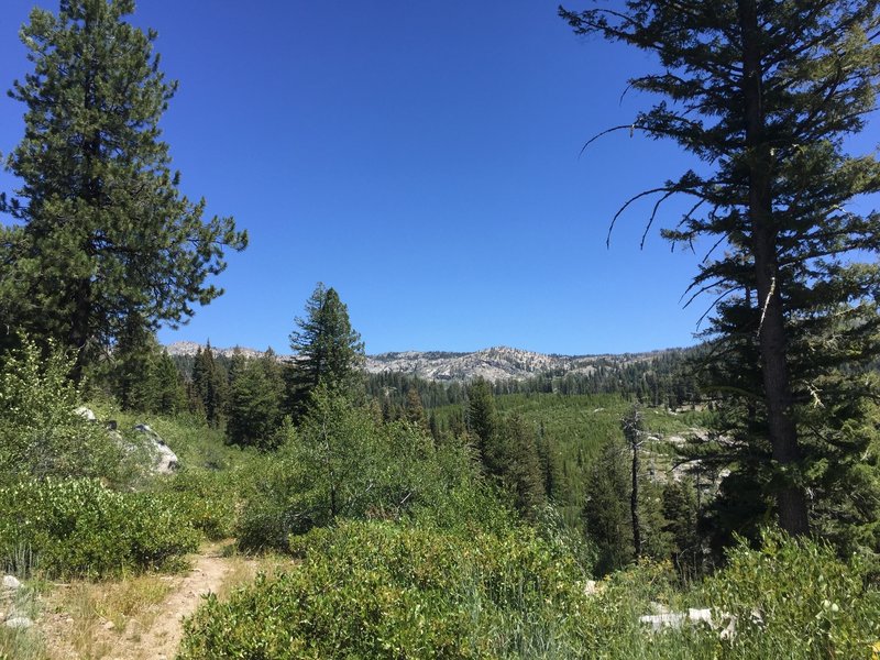 View of trail towards Blackwell Lake.