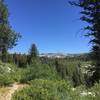 View of trail towards Blackwell Lake.