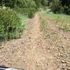 Shale section of trail before it turns into singletrack