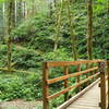 Coasting down the Gale Creek Trail, about to merge with Storey Burn Trail