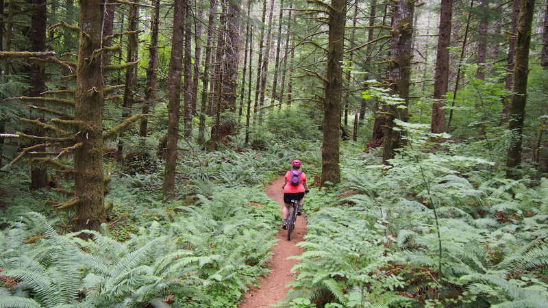 Almost to the Storey Burn Trailhead!