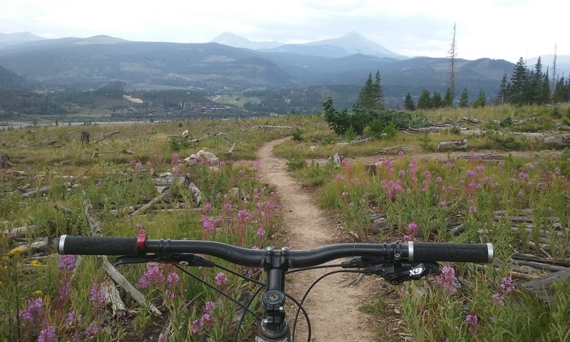 Mellow section of the trail.