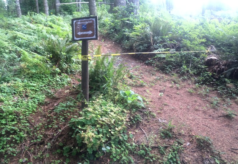 Please refrain from making or using any "user maintained trails" in the area!