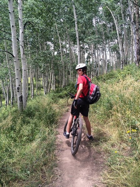 Riding through aspens on Lupine Trail.