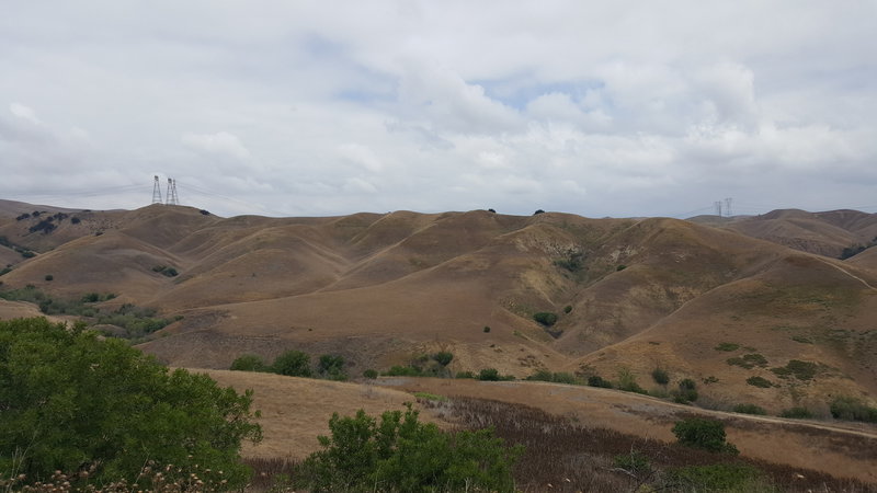 Taken from South Ridge, looking at the Telegraph Road climb back to 4 Corners and the ending of Raptor Ridge.