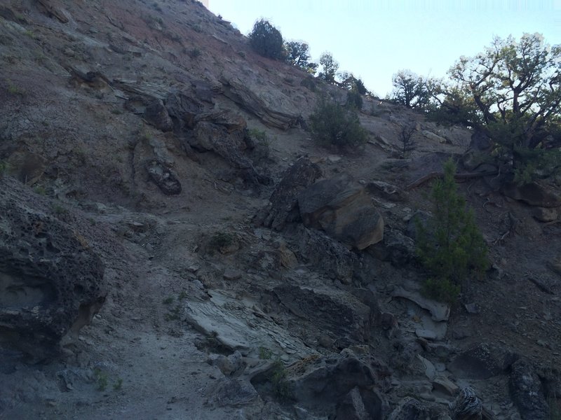 Second half of the trail traverses a technical sidehill.