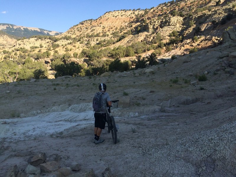 Bruce looks across the pipeline. Go straight across and look to your slight right to pick up the rest of the trail.