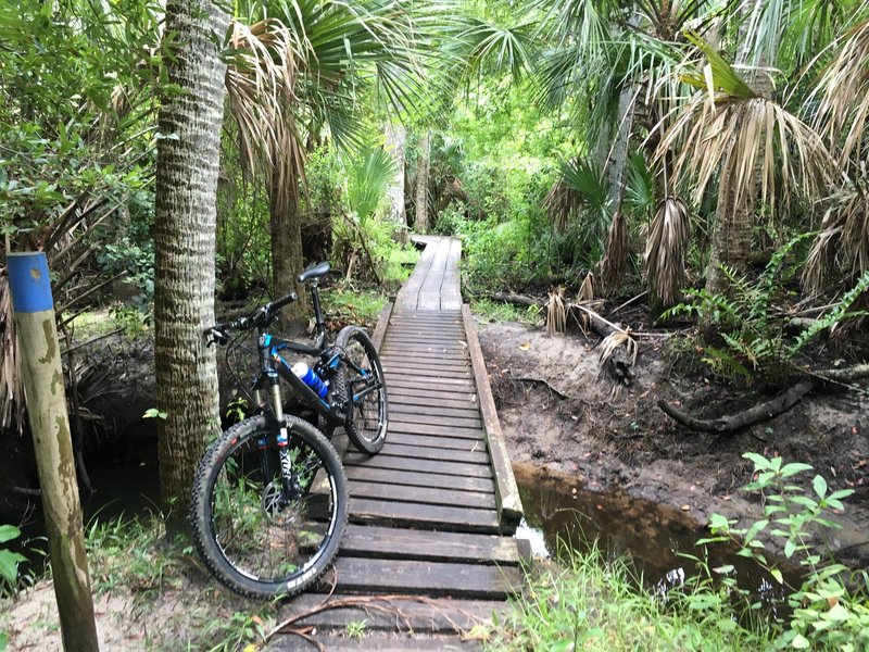 Zipping across the wooden bridges is fun!  With just a hint of danger!!