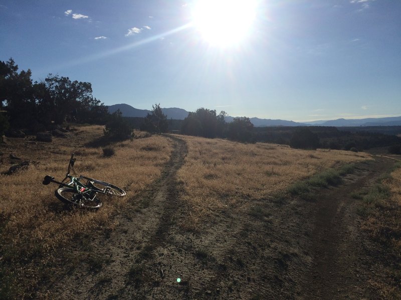 Obvious singletrack to the left marks the start of Rusty Shovel.