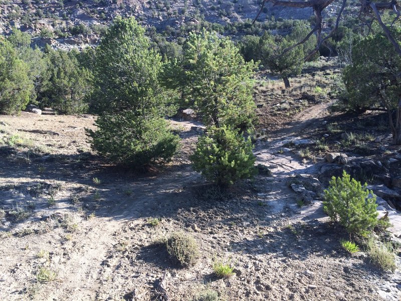 Here is where Rusty continues from the maze of ATV doubletrack.