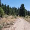 Lake Davis Trail near Lightning Tree Campground.