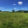 View of the meadow below the Reservoir near the trailhead.