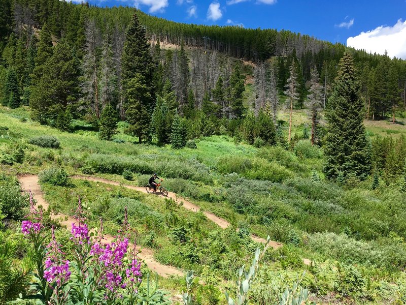 Great high country riding!