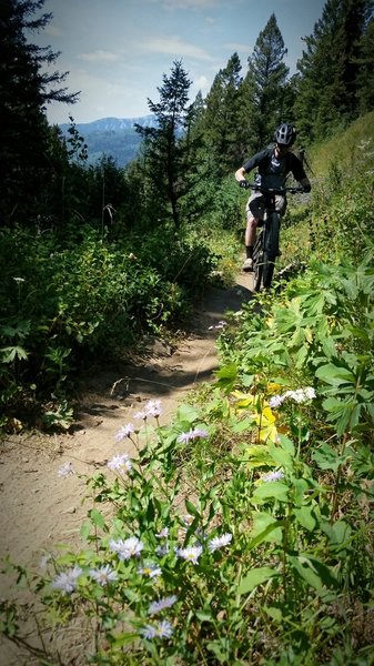 Headed up Red Creek Loop (starting on Spooky Trail, riding ccw).