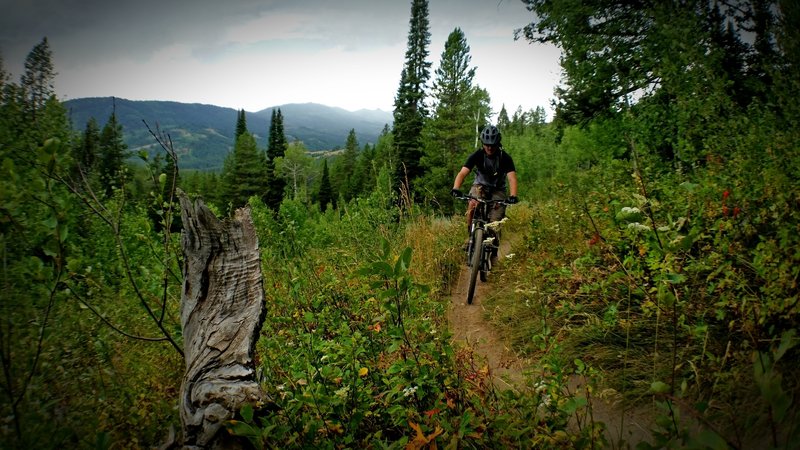 Finishing out the Red Creek Loop in front of an approaching afternoon storm.