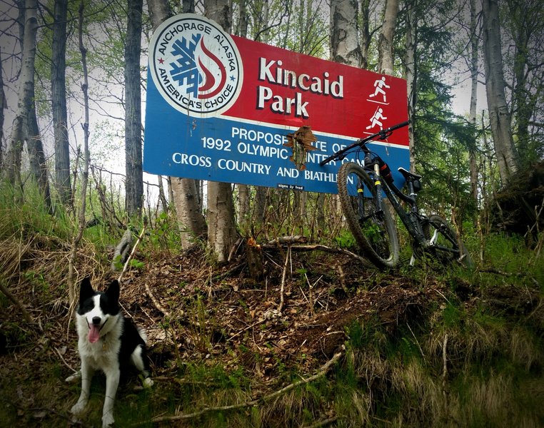 Old Olympic Kincaid Park sign.