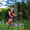 Dusk ride among the lupine.