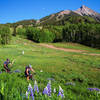 Riding below Mt. Crested Butte.