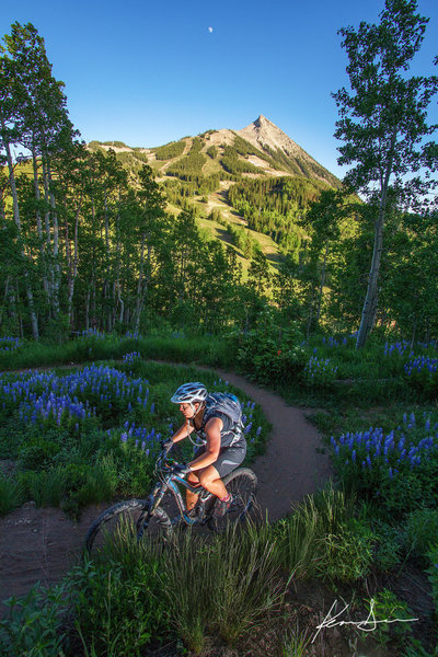 Evening ride at Mt. Crested Butte.