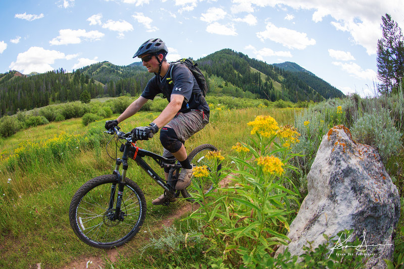 On the Game Creek singletrack in mid-summer.