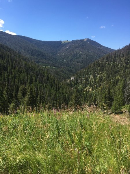 Looking down the Bridger Creek drainage.