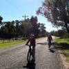 The trail continues on Gibbs Rd before entering the Gnangara-Moore River State Forest.