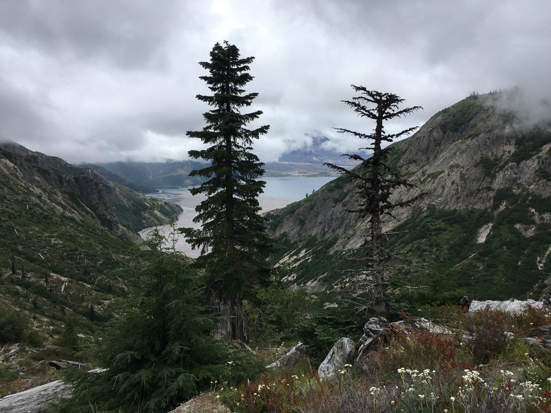 View of Spirit Lake.