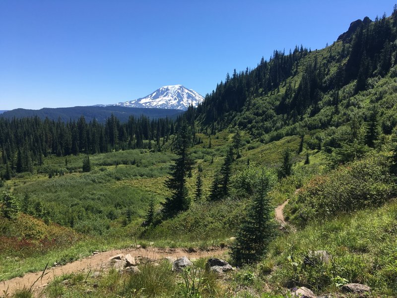 Mt. Adams, looking east near the junction of Boundary and Juniper Ridge.