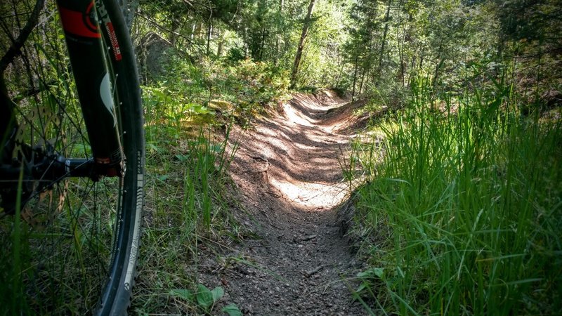 Fast descent along Monument Trail (715).