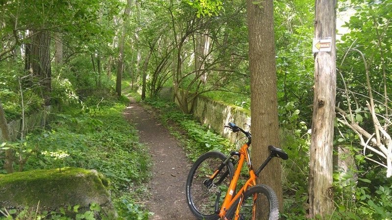 Old foundation along the trail.