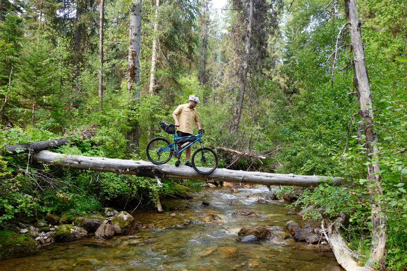 One way to cross Straight Creek. Getting your feet wet is easier and safer!