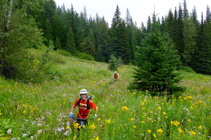 Riding through tall vegetation on the Straight Creek Trail.