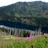 Heading down to lower Siamese Lake.