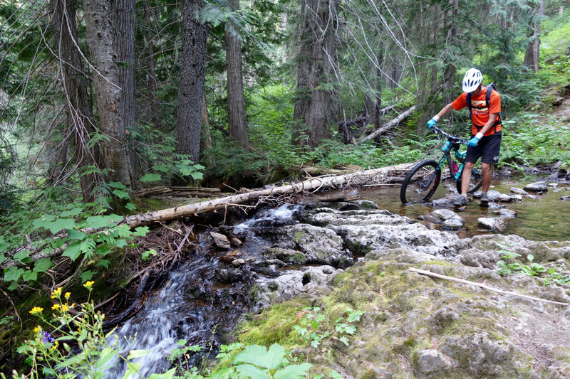 Navigating a small stream crossing at the beginning of the cedar groves on the West Fork Fish Creek Trail.