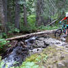 Navigating a small stream crossing at the beginning of the cedar groves on the West Fork Fish Creek Trail.