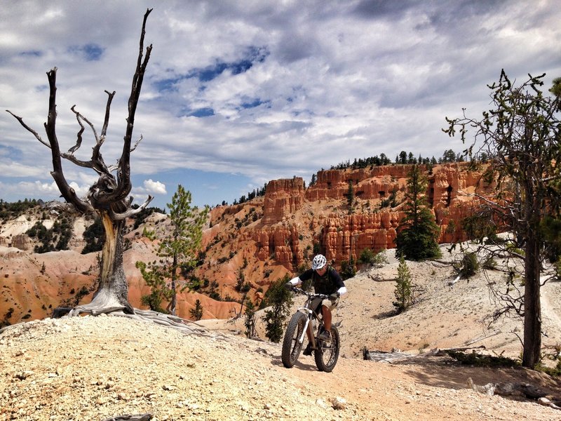 Zach B on the titainium fatty in Thunder Mountain Utah.