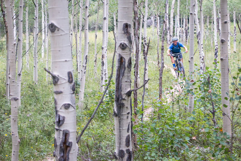 Rippin' through the aspens at 9,000 feet in Golden Gate Canyon State Park