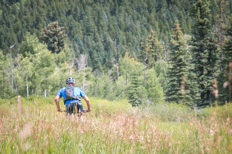 Climbing through a wide open meadow on the Mule Deer Loop