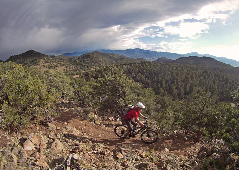 On Rumba ridge/Cottonwood.