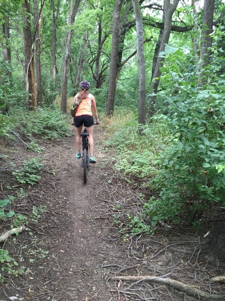 There's short climbs here and there, but most of the trail is flat.