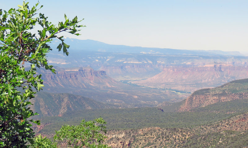 Peeking into view on the left are the snow-capped La Sal Mountains of Utah.