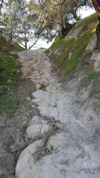 Steep rock on Corcoran Mine Trail