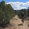 Lower section of Ice Plant Trail