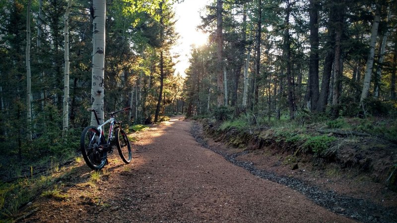 Wide paths are great for new riders.