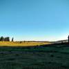 A great view of the abandoned Cheesman Barn.