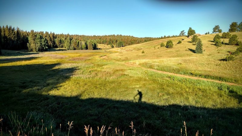 Morning shadows along Elk Meadow Trail.