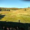 Morning shadows along Elk Meadow Trail.